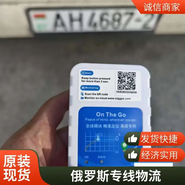 俄罗斯白关专线物流 空运陆运整车集装箱跨境货运服务