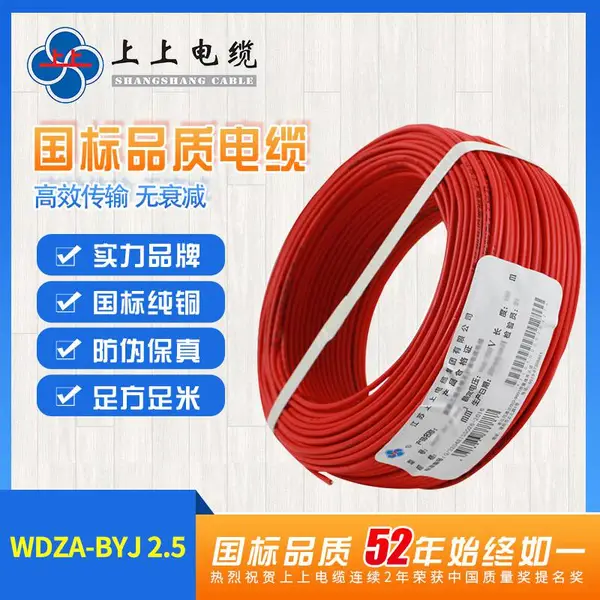 ���ϵ�����±����A����ȼ����WDZA-BYJ2.5ƽ��ͭоӲ�߰���
