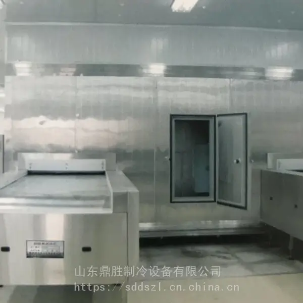 供应鼎胜DS-GBS-300钢板带速冻机(钢板带速冻隧道,钢板带单冻机)