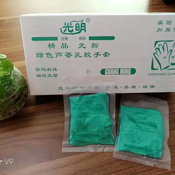 光明 无粉乳胶手套 芦荟一次性手套