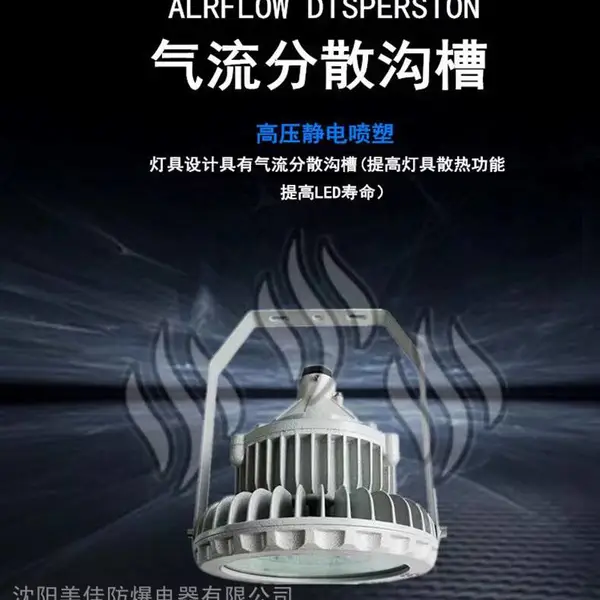东营 BAD91防爆投光灯 防爆吸顶灯 工程 LED弯杆灯