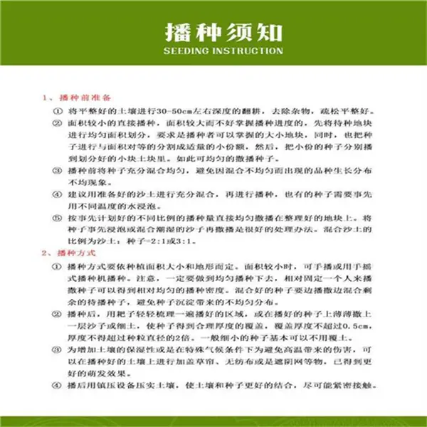 铜仁常青草种籽经销商批发花卉种子进口一级
