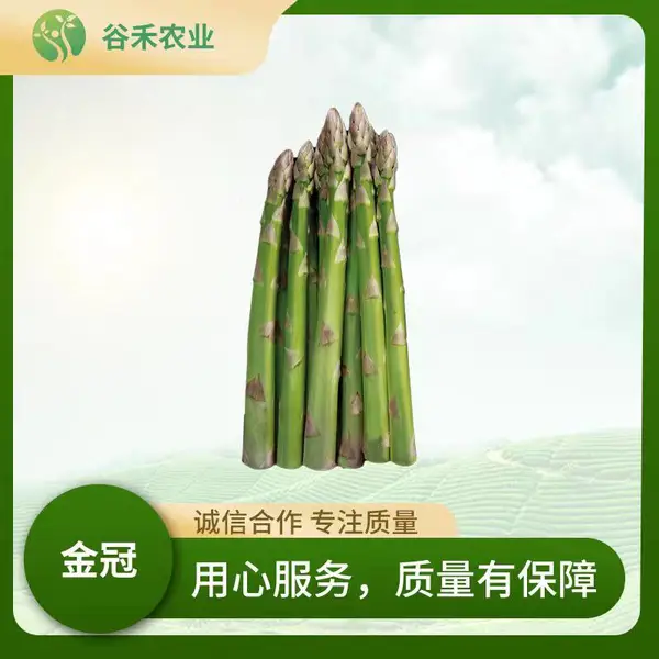 ���«�����Ӵ�׳�߲���Ӧ�Թ����ֱ�����ȶ���ǿ