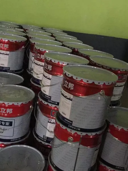 立邦涂料 重庆立邦/弹性外墙乳胶漆