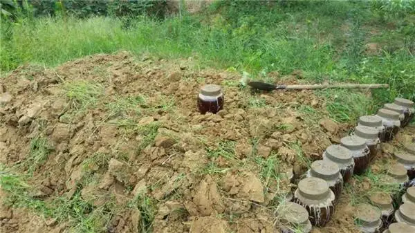 老坛酒多少钱一坛-翁城老坛酒-欢迎来宾们品尝客泉醇