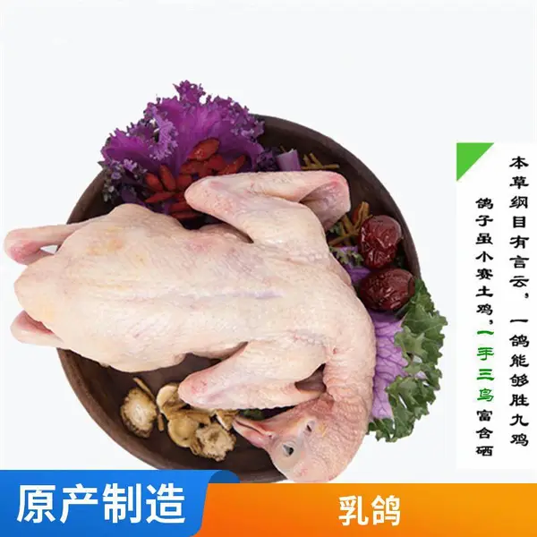 【一手三鸟】乳鸽 冷鲜鸽子批发 小吃店烧烤店用 货源稳定