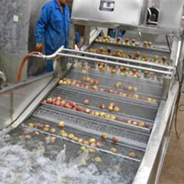 供应食品加工厂气泡清洗机/ 全自动水果清洗风干流水线现货 欢迎选购