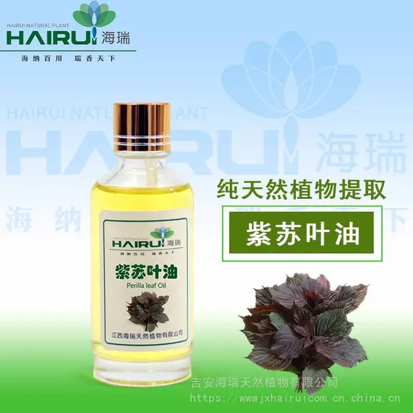 江西海瑞紫苏叶油品质好价格优广泛用于食品香精调味油食品等行业