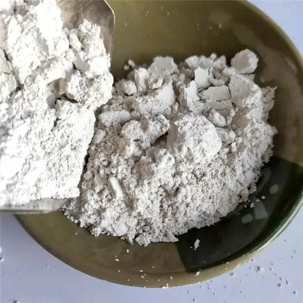 ������ Ư�������������� ������ש�� ������ʯ�ҷ�