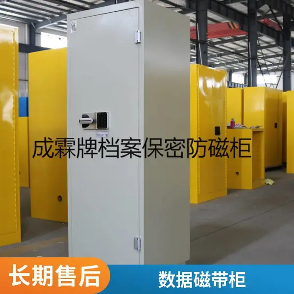 CHENGLIN/成霖防磁柜硬盘U盘CD信息安全柜(选配锁具)