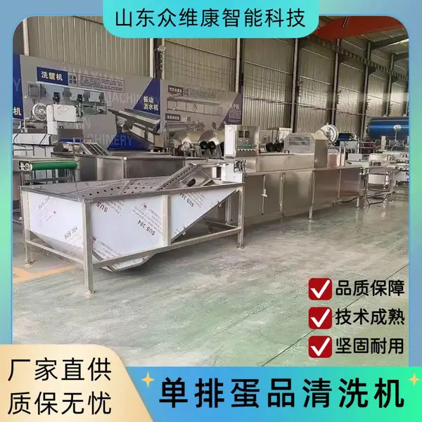 大型盐水蛋洗蛋机 跨境批发包灰蛋蛋品清洗机 无菌蛋灭菌鸡蛋清洗机