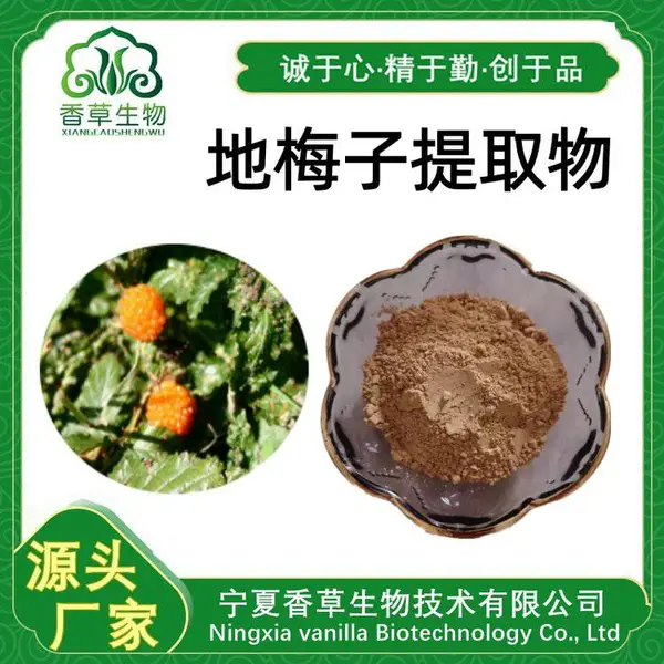 地梅子提取物 10: 1 水提醇沉 速溶粉 水溶 地梅子粉 80目