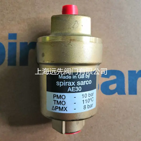 SpiraxSarco˹��ɯ��AE30�Զ�������
