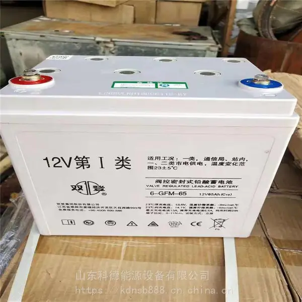 ˫������6-GFM-50 12V50AH�����ܷ�ʽǦ������