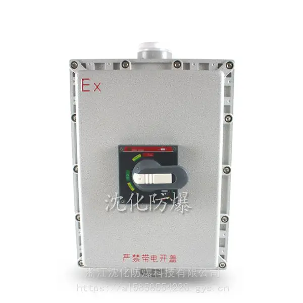 供应防爆箱 户外照明动力配电箱 电源开关控制接线箱 插座箱