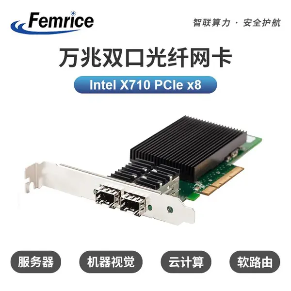 飞迈瑞克(Femrice)FM-X710BM2-F2以太网万兆双光口网卡