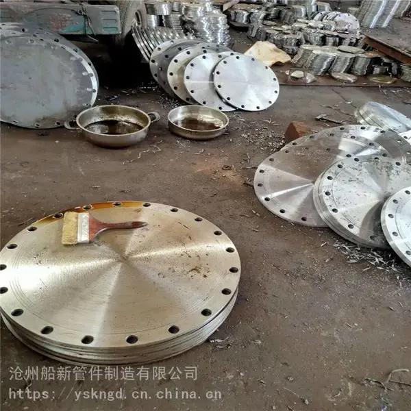 船新管件 碳钢国标法兰 碳钢法兰 