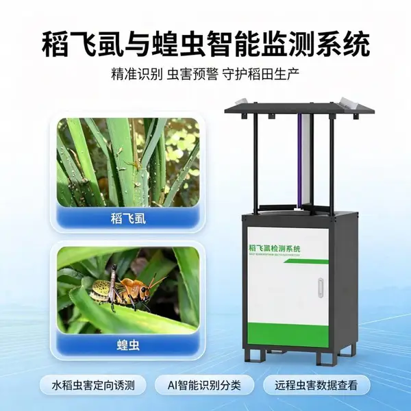 茶叶园智能虫情灯 碧野千里CQ-R2 农田灭蚊灯 雨虫分离技术