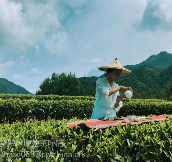漳平水仙 水仙王子 乌龙茶铁观音 岩茶 水仙茶厂 漳平厚德水仙茶厂 水仙批发