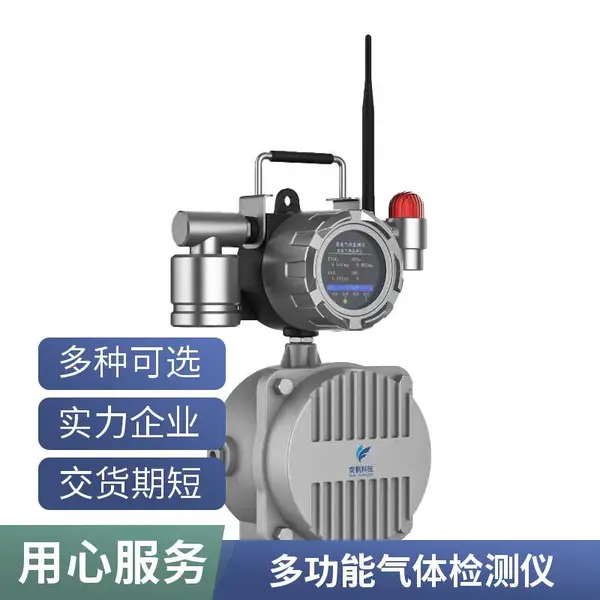 水产养殖增氧 手提款氧气检测仪 手拿式溶解氧测定仪 带数显