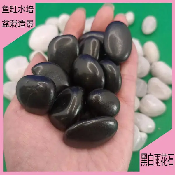 �껨ʯ������������ͥԺװ�α���⻬ ������