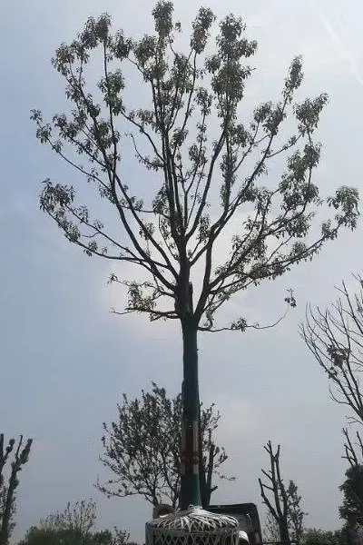 ������������������������������������ɽ�����۸�ȫ�������������Ǽ�������
