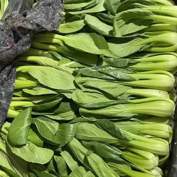 优菜好品配送·食材配送|配送食材|水果蔬菜批发、蔬菜配送、蔬菜水果配送、膳食配送、蔬菜水果、蔬菜、