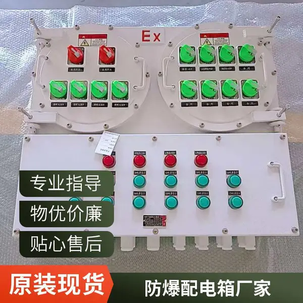 沈 阳定做 立式可移动防爆配电箱 碳钢防爆配电柜 满足不同配电需求