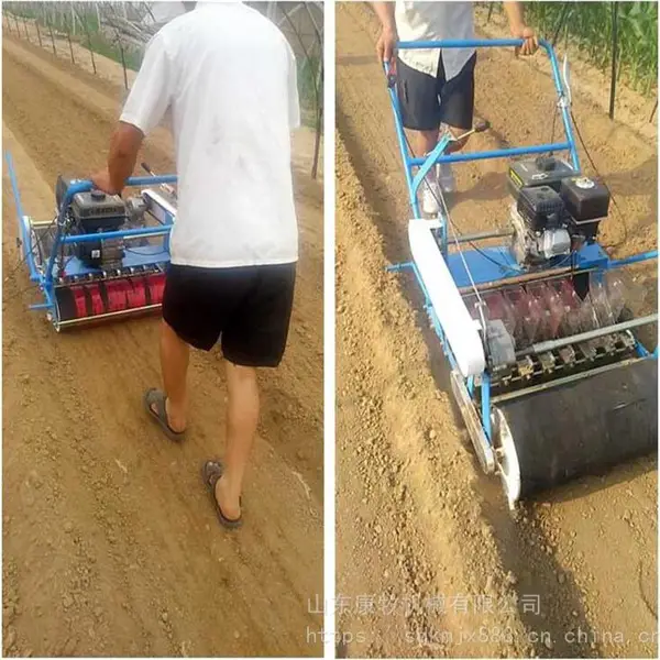 ����4�аײ˲��ֻ� ������߲˾����� �������Ϻ�����ֲ��