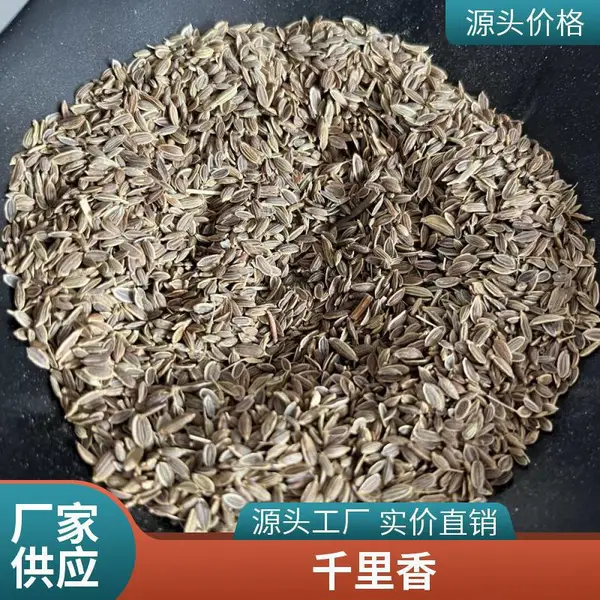 九里香无硫 千里香中药材 今年新货香料万里香批发