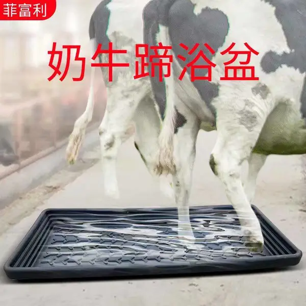 奶牛蹄浴盆 奶牛洗脚盆耐用结实环保食品级材料