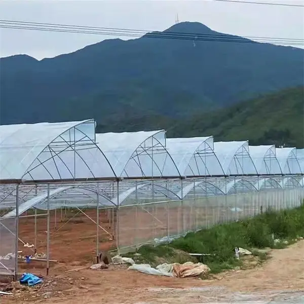 西宁湟源 草莓西瓜温室 种植连栋 中科 连体椭圆钢管 镀锌配件 ZKHY-04