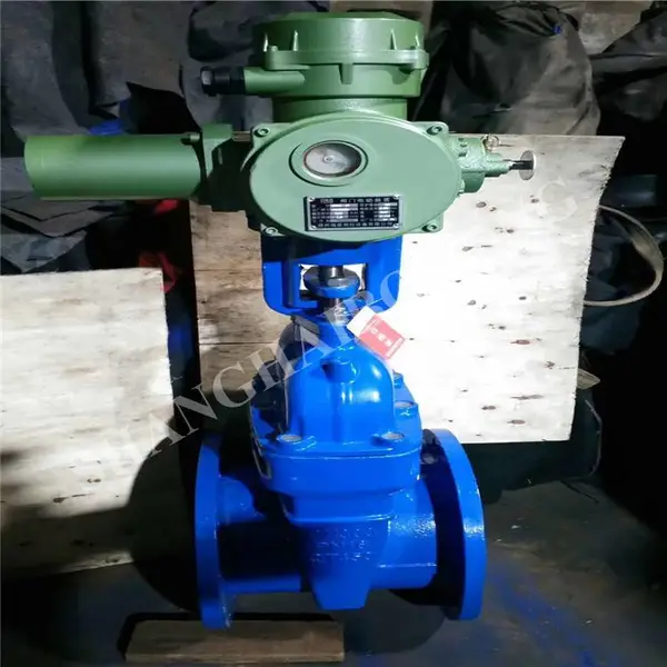 Z945X-25C �����͵綯�������ⰵ��բ�� ����ʽ����բ�� ��������ˮ����