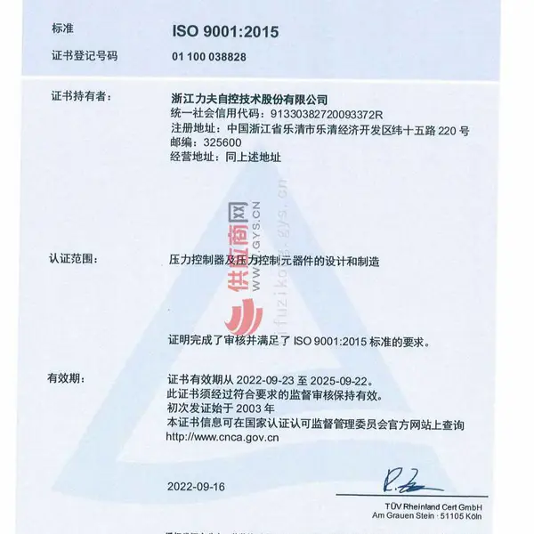 ISO 9001