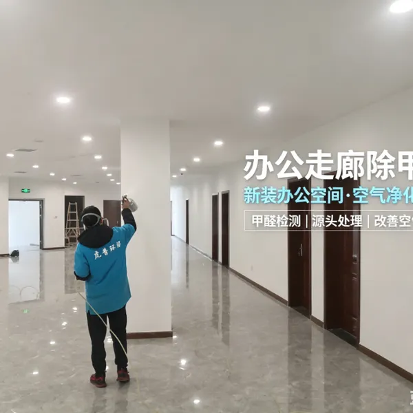 重庆新房除甲醛公司产品 甲醛检测治理 呼吸健康防护