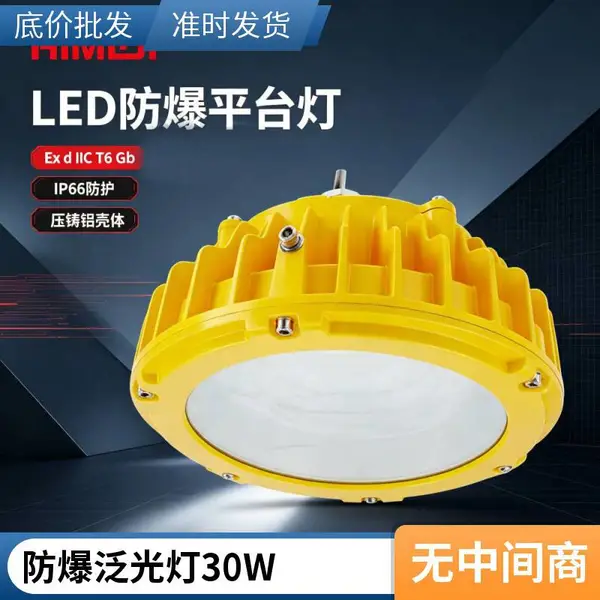 吊杆式防爆泛光灯70W 防爆灯 海上平台照明厂家