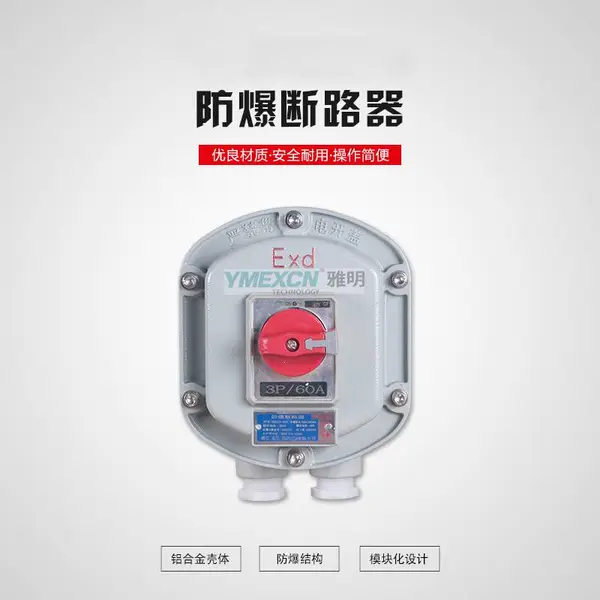 BDZ52-16/2P防爆断路器 IIB/IIC级铸铝防爆漏电开关空开