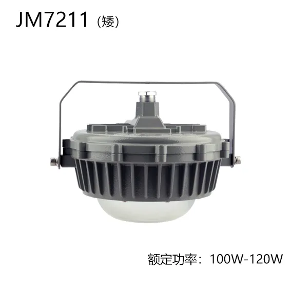 LED三防灯30W50W防爆泛光灯码头桥梁车间