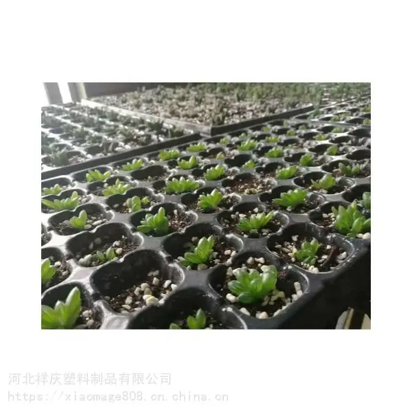 ����Ѩ�� �����߲������� ���������� ����ֱ��