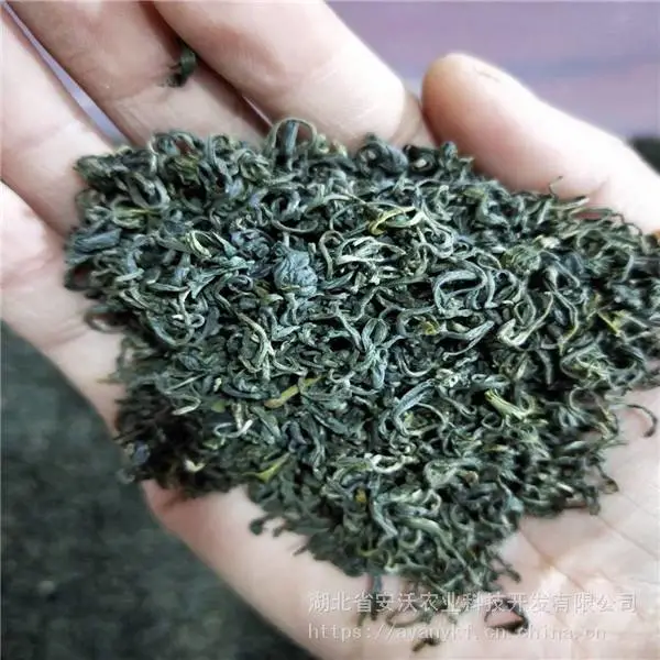 供应恩施茶绿茶香茶清明茶新茶富硒茶偏僻山区茶叶