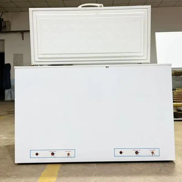 大体积冰柜 天然气冰柜320升大容量液化气冰柜吸收式燃气冰箱冰柜