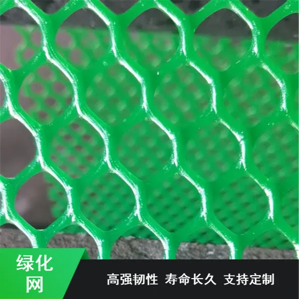 园林固土绿化网 邵嘉可定制绿色植草护坡三维植被网 生态养殖网