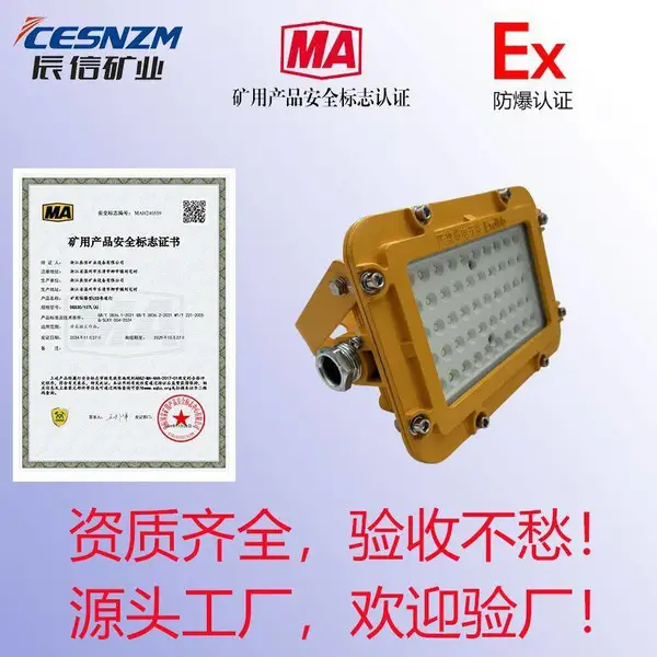 DGS系列矿用隔爆型LED巷道灯 煤矿井下防爆灯工业照明质保3年防护IP66