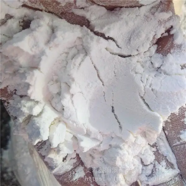 供应硅藻土 安徽污水处理用硅藻土 白色硅藻土粉
