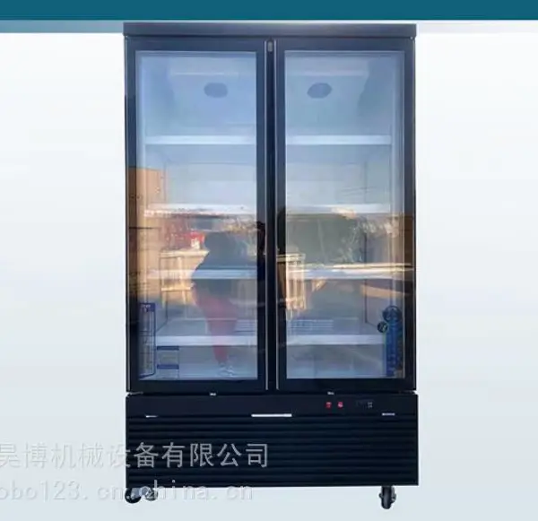 爱德信黑金款双门火锅食材冷冻展示柜 火锅店商用食材冷冻柜