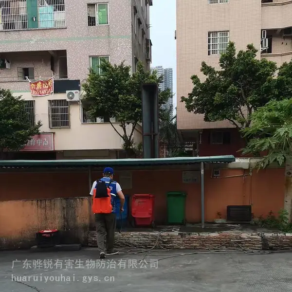 天津抓老鼠 天津灭跳蚤服务 找骅锐虫控 专业团队