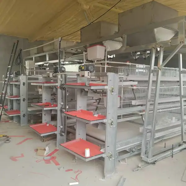 老鸡舍升级不用愁!诸城弘锦机械定制自动化笼养改造方案 蛋鸡笼养设备一站式服务
