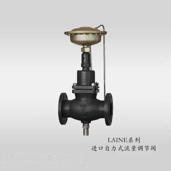 ����LAINE��������ʽ�������ڷ���̬ƽ��