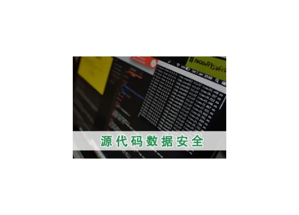 上海靠谱的源代码加密哪家便宜 服务为先 上海迅软信息供应