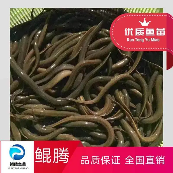 ������ �����ֻ� ˮ��ֱ�� ���ڻ����� ������ҵ�ṩ����֧��